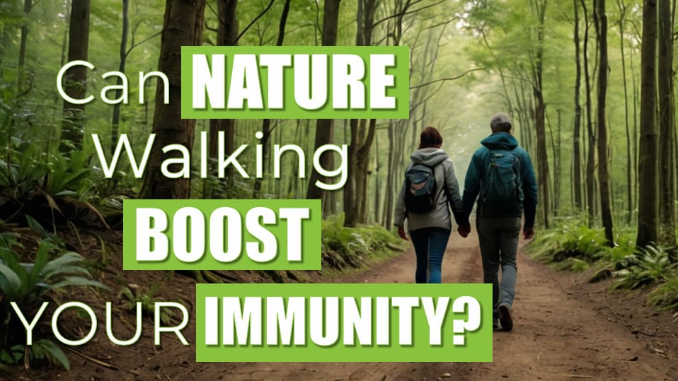 nature walking boosts immunity