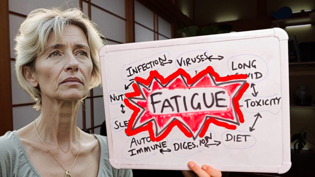 Chronic Fatigue Recovery